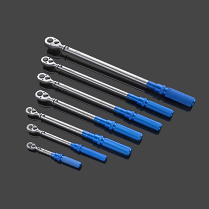 Chiave dinamometrica 1/4"* 1-6N.m